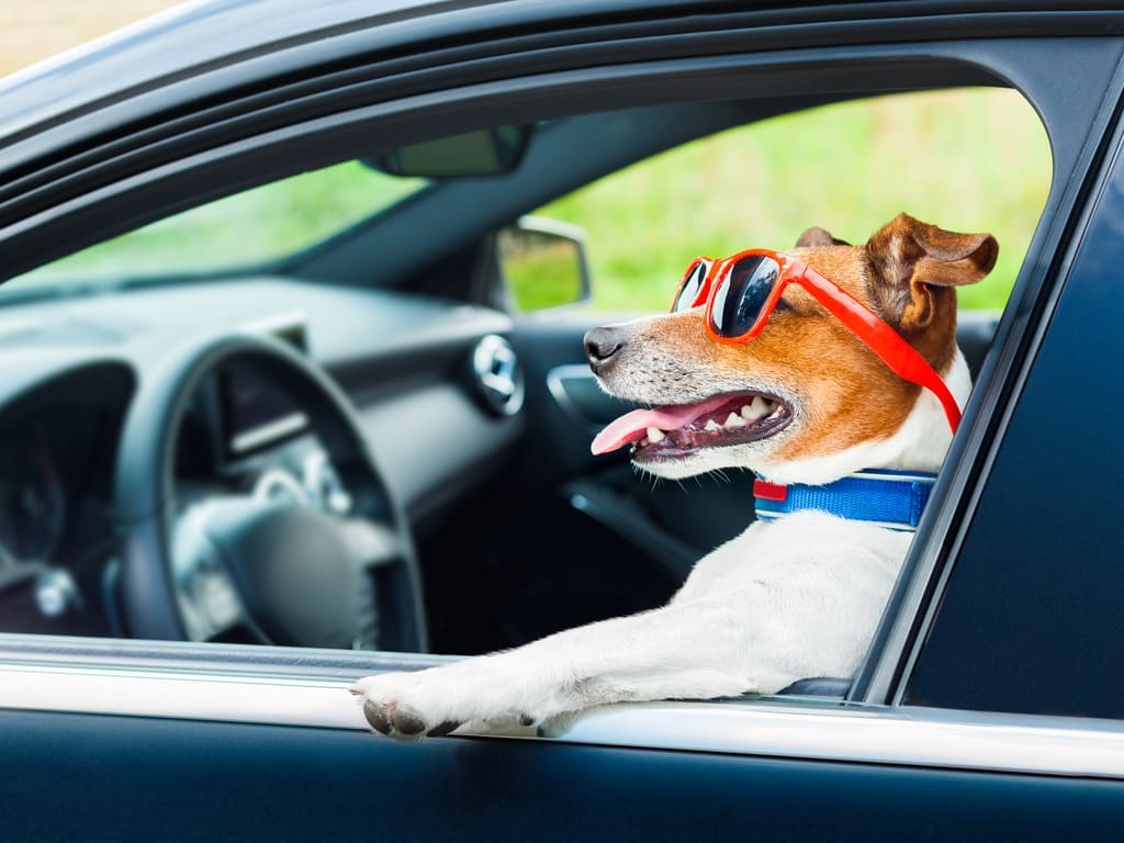 Used car test drive checklist